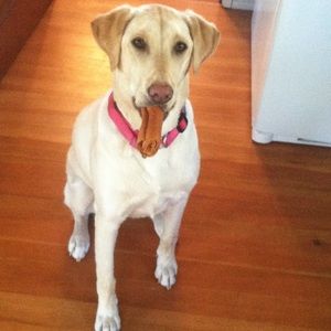 Meet your Posher, Jack